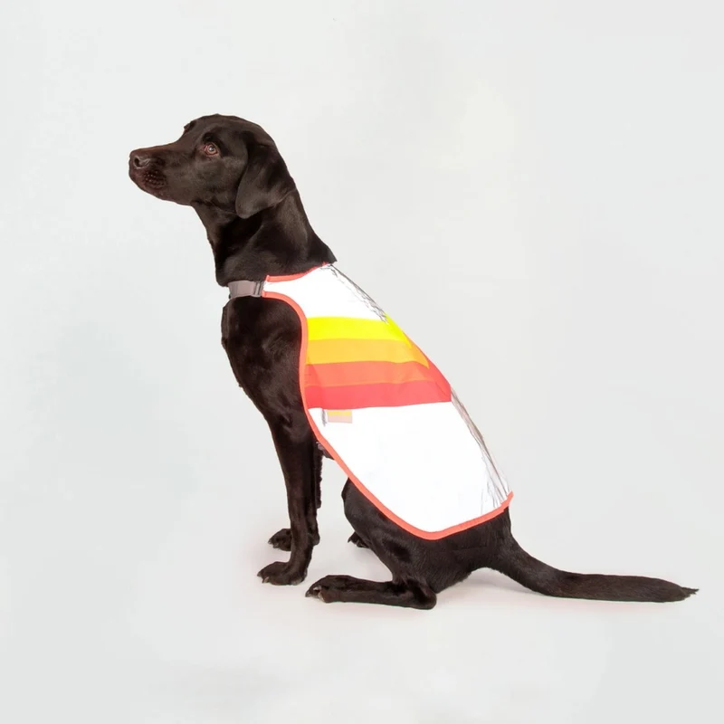 Gilet réfléchissant pour chien GoFluo