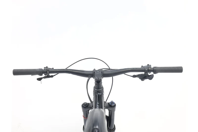 GIANT Trance X 29 3 2021 T.M