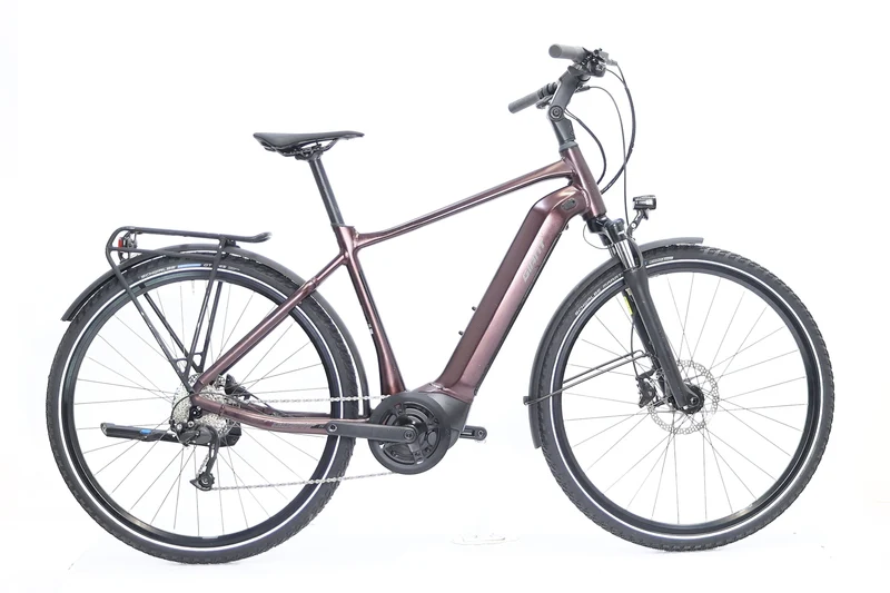 GIANT AnyTour E+ 3 GTS 2021 T.M
