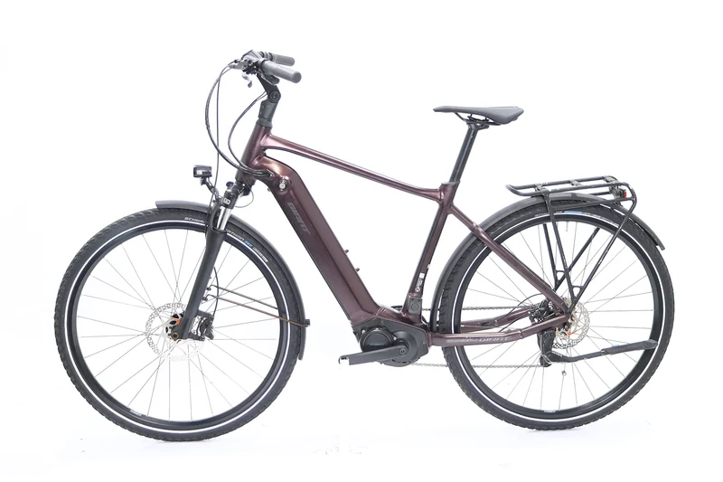 GIANT AnyTour E+ 3 GTS 2021 T.M