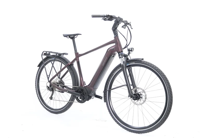 GIANT AnyTour E+ 3 GTS 2021 T.M