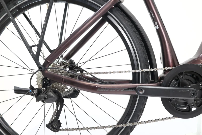 GIANT AnyTour E+ 3 GTS 2021 T.M