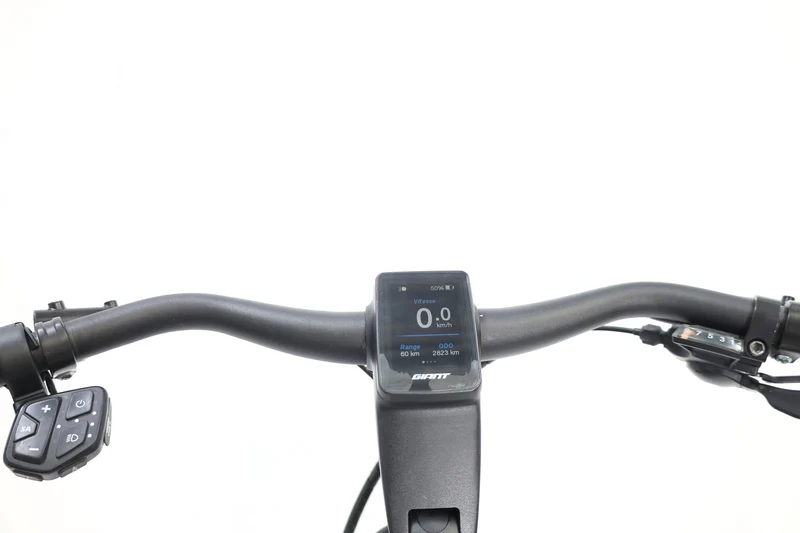 GIANT AnyTour E+ 3 GTS 2021 T.M