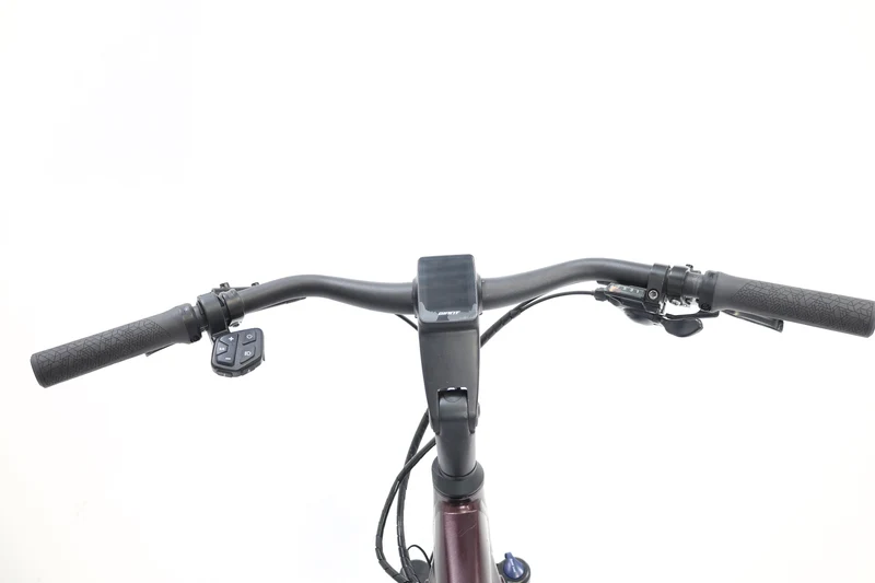 GIANT AnyTour E+ 3 GTS 2021 T.M