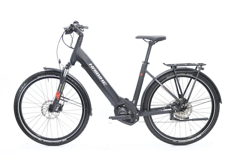 HAIBIKE Trekking 6 Low 630Wh 2022 T.M