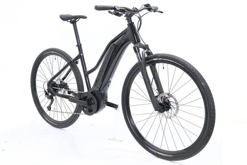 GIANT Roam E+ STA 2022