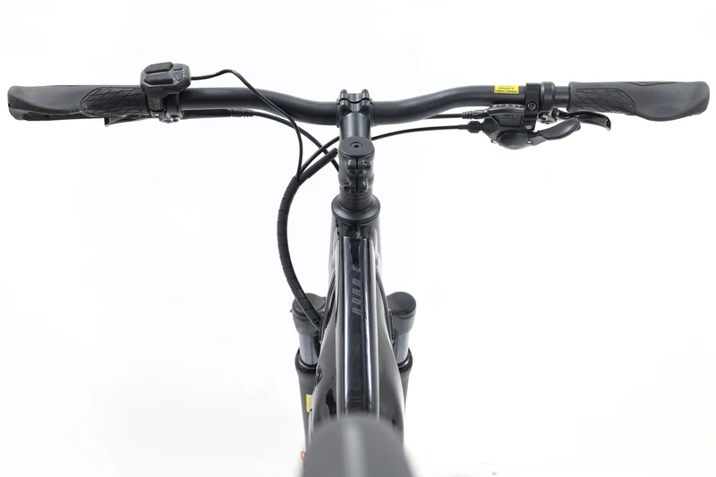 GIANT Roam E+ STA 2022