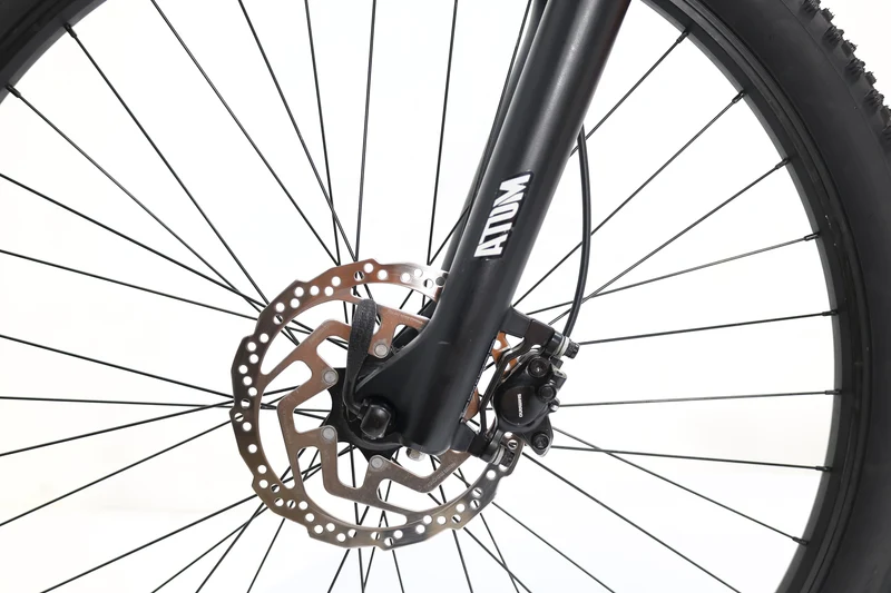 BH Atom Pro 2023 T.M