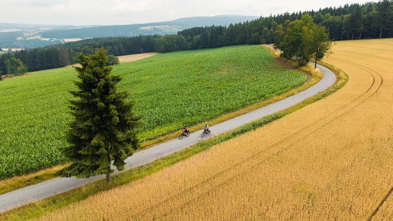 TOURING HYBRID COMFORT SLX 800