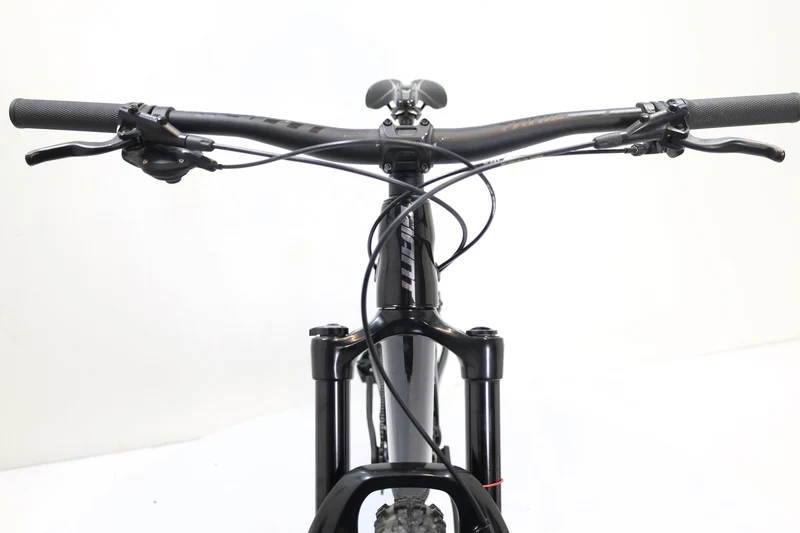 GIANT Trance X 29 3 2021 T.M
