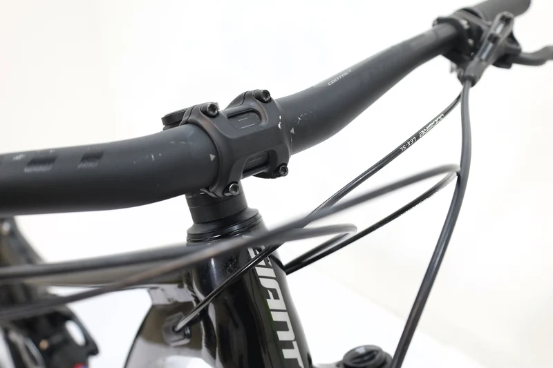 GIANT Trance X 29 3 2021 T.M
