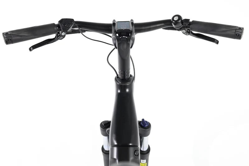 ROSE Xtra Watt EVO Plus 3 LowStep 2024 T.48