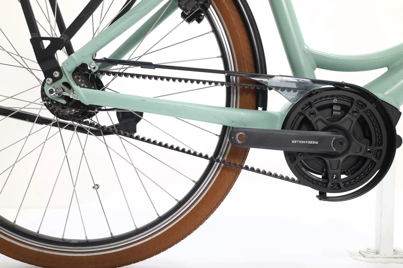 RIESE&MÜLLER Swing Silent 2022 T.51