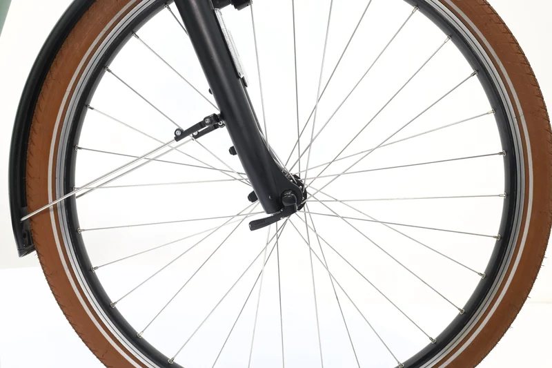 RIESE&MÜLLER Swing Silent 2022 T.51