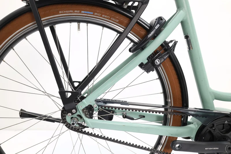 RIESE&MÜLLER Swing Silent 2022 T.51