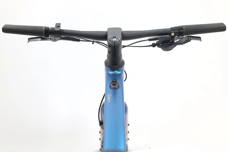 BERGAMONT E-Sweep Tour 2023 T.55