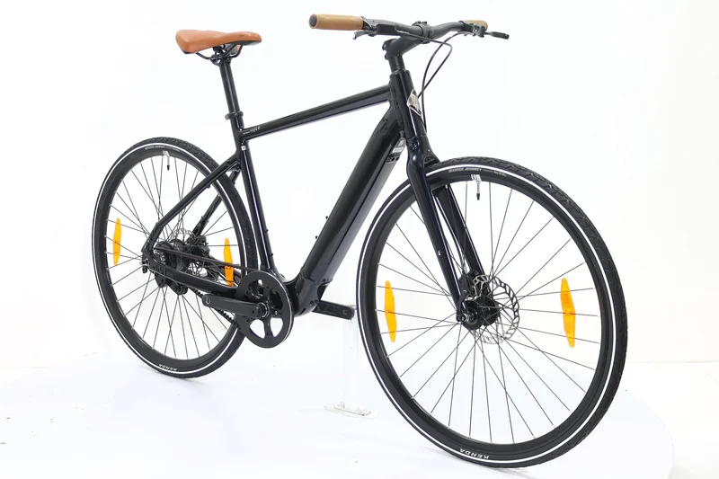 MOMENTUM Voya E+ 2 2024 T.M