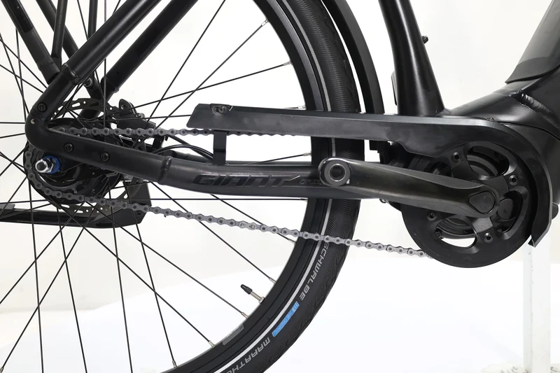 GIANT DailyTour E+ 2 RT LDS D 2022 T.M