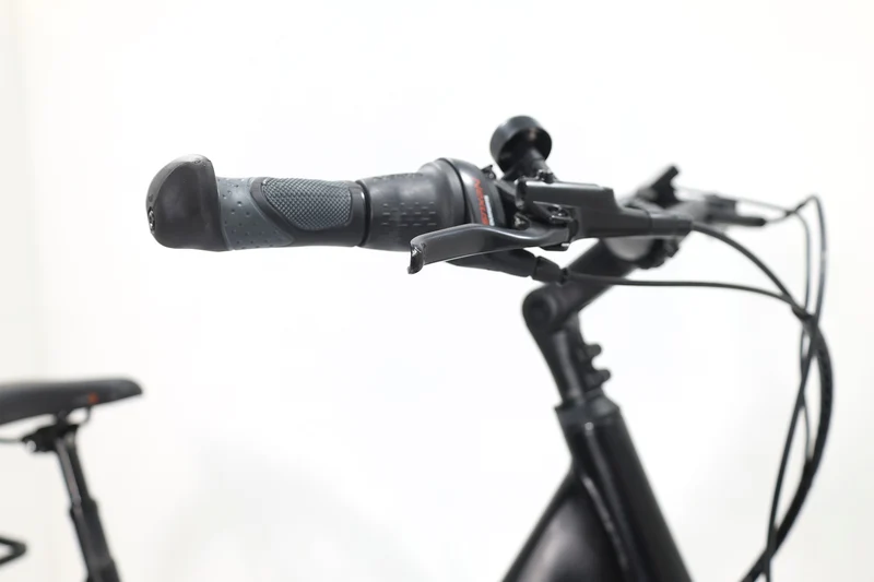 GIANT DailyTour E+ 2 RT LDS D 2022 T.M