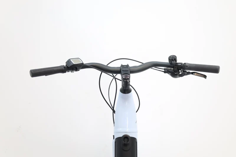 CANNONDALE Adventure Neo 3.1 EQ 2024