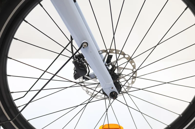 CANNONDALE Adventure Neo 3.1 EQ 2024