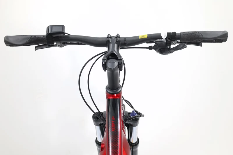 LIV Tempt E+ EX 2022 T.M