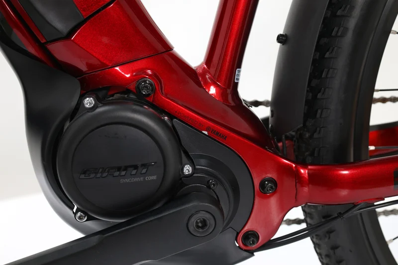 LIV Tempt E+ EX 2022 T.M