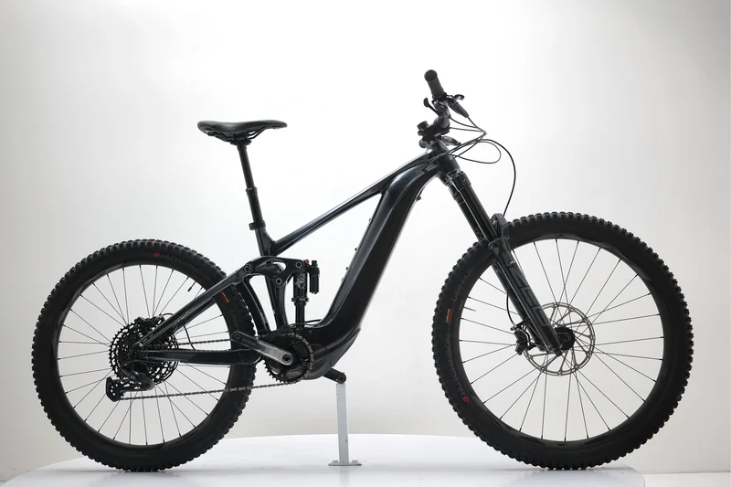 GIANT Reign E+ 2 2022 T.M