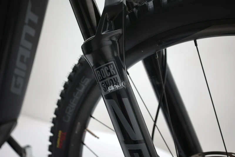 GIANT Reign E+ 2 2022 T.M