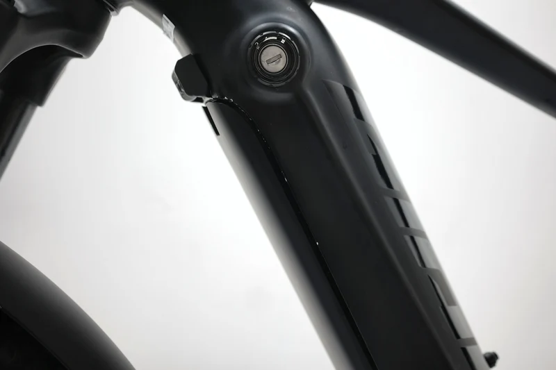 GIANT Fathom E+ EX 2023 T.L