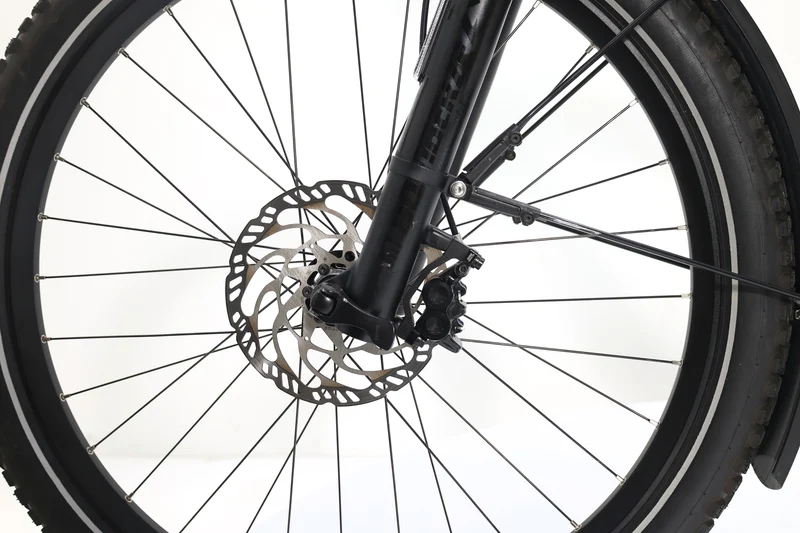 RIESE&MÜLLER Supercharger GT Rohloff 2023 T.56