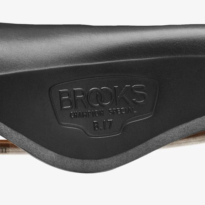 Selle vélo cuir Brooks B17 special titanium