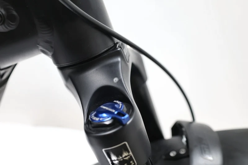 Riese Müller Charger4 GT touring 2024 T.46