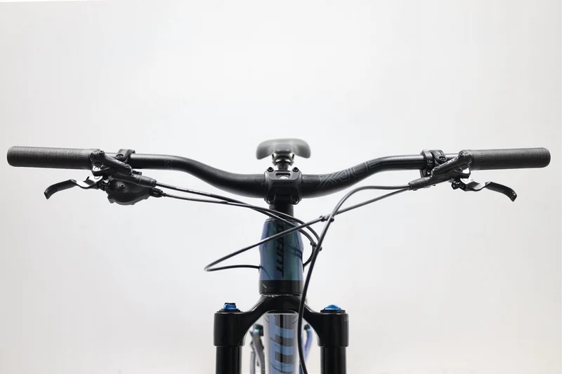 GIANT Reign Advanced Pro 29 0 2021 T.M