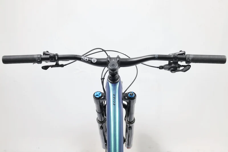 GIANT Reign Advanced Pro 29 0 2021 T.M