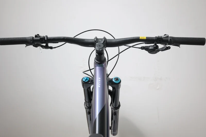 GIANT Reign 1 2024 T.L