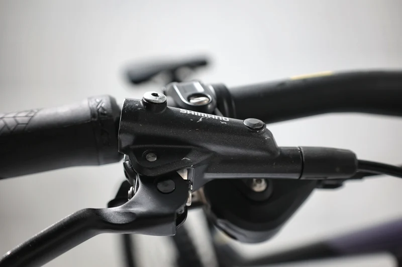 GIANT Reign 1 2024 T.L