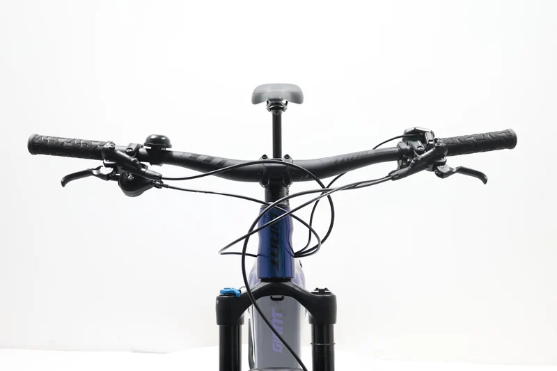 GIANT Trance X E+2 PRO 29 2021 T.L