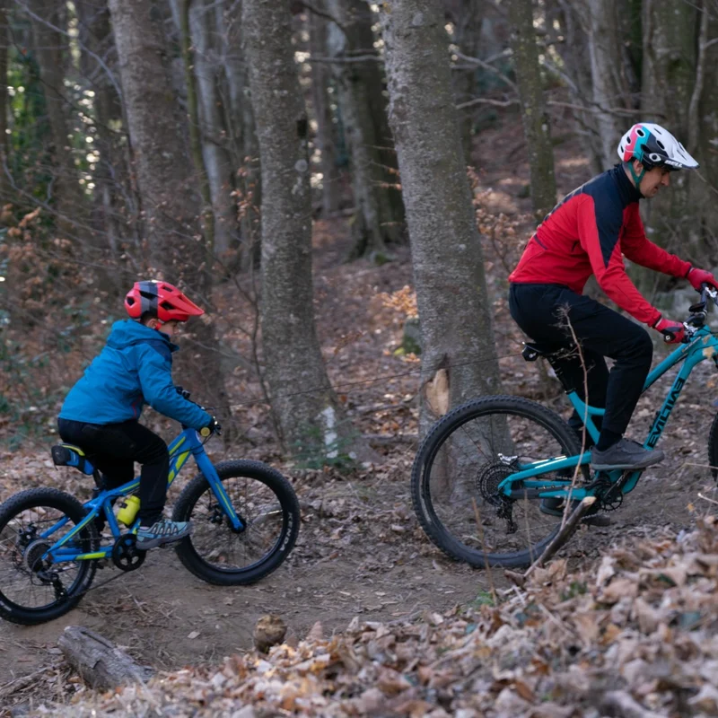 Système de remorquage vélo Trax Pro sur tige de selle