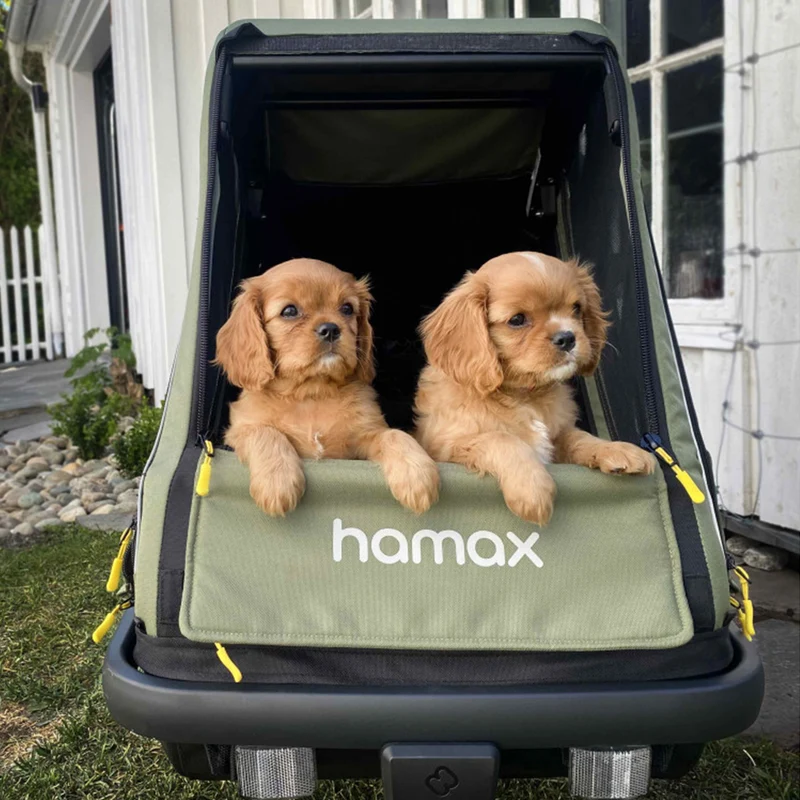 Remorque chien Pluto M Hamax
