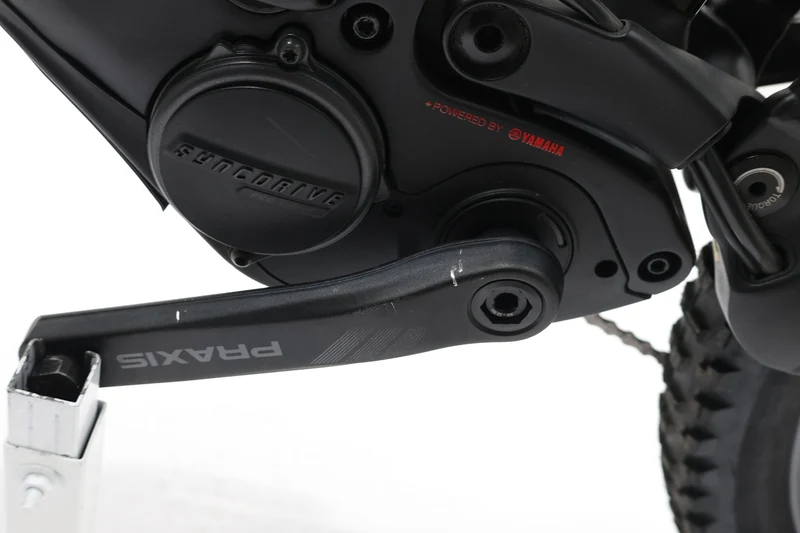GIANT Reign E+ 2 2022 T.XL