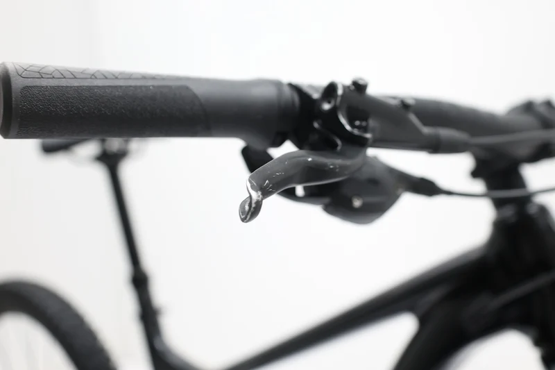 GIANT Trance X 29 2 2023 T.M