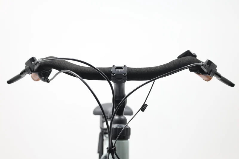GAZELLE BLOOM C7 2022 T.53