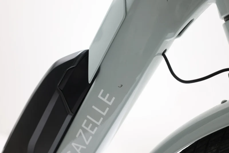 GAZELLE BLOOM C7 2022 T.53