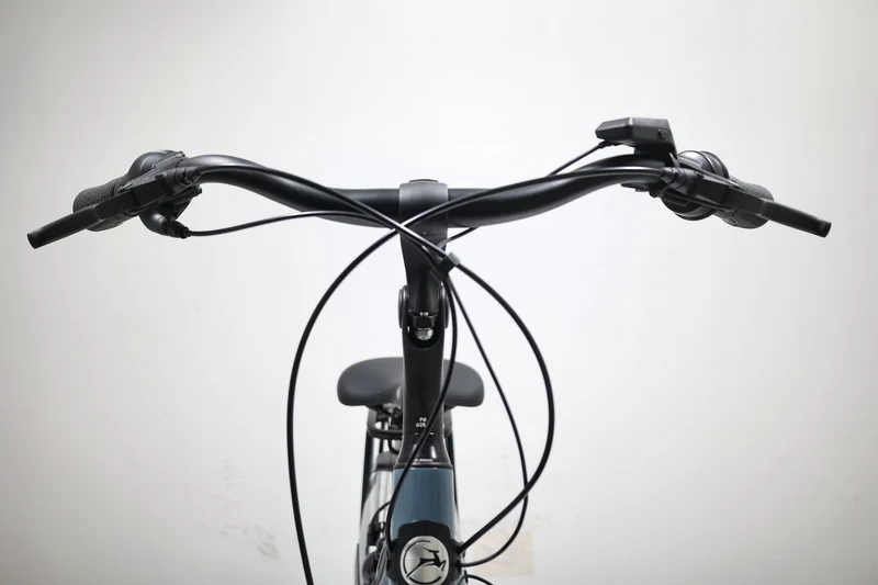 Gazelle Arroyo C7+ Elite 2023 T.L