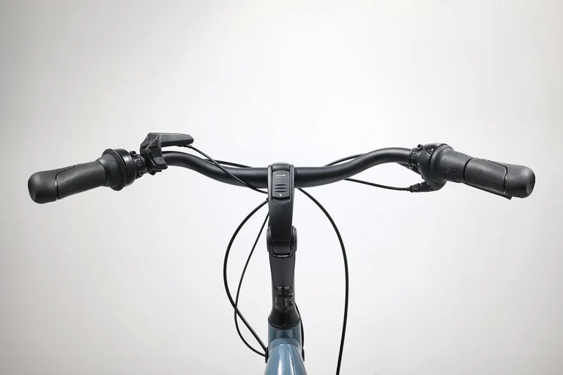 Gazelle Arroyo C7+ Elite 2023 T.L