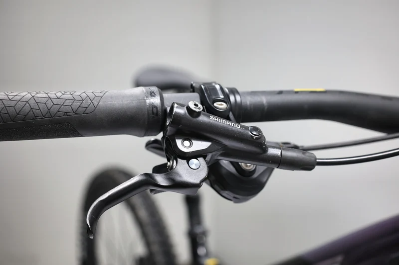 GIANT Reign 1 2024 T.S