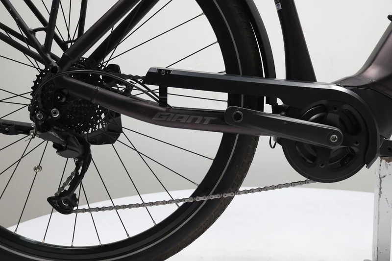 GIANT DailyTour E+ 3 GTS 2022 T.L