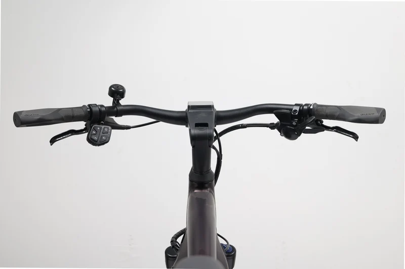 GIANT DailyTour E+ 3 GTS 2022 T.L