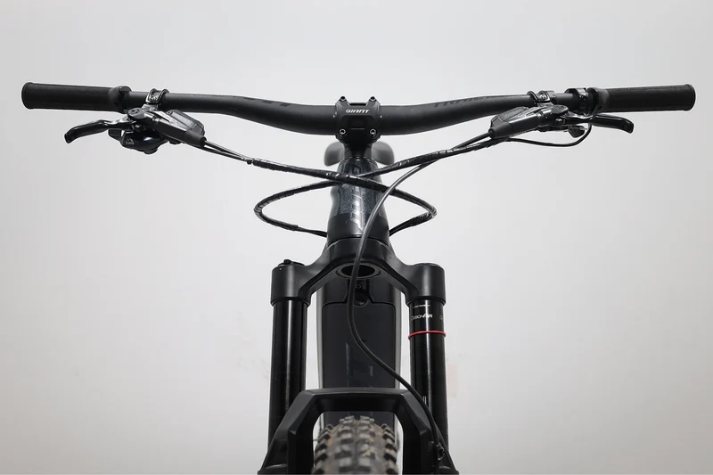 GIANT Reign E+ 2 2022 T.M